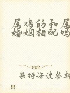 属鸡的和属牛的婚姻相配吗