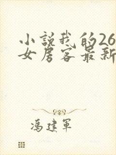 小说我的26岁女房客最新