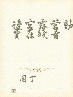 后宫露营动漫免费在线看