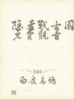 隐者战士国语版免费观看