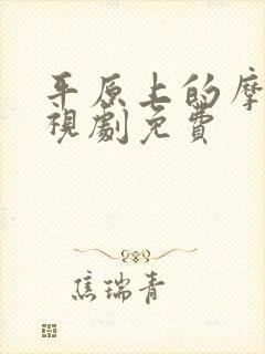 平原上的摩西电视剧免费