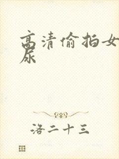 高清偷拍女厕撒尿