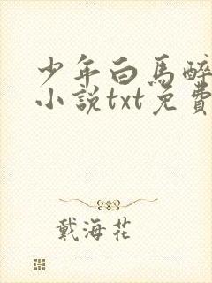 少年白马醉春风小说txt免费下载封面