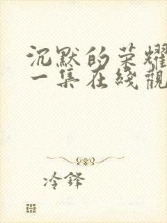 沉默的荣耀最后一集在线观看