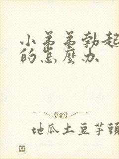 小弟弟勃起是弯的怎么办