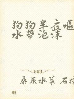 狗狗半夜呕吐黄水带泡沫