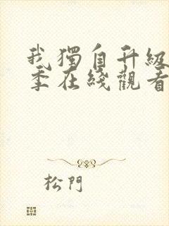 我独自升级第一季在线观看全集免费播放封面