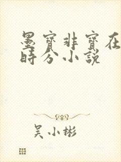 墨宝非宝在暴雪时分小说