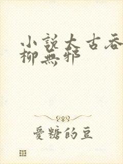 小说太古吞天诀柳无邪