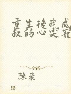 重生后我成了皇叔的心尖宠27封面