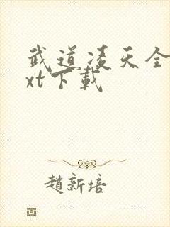 武道凌天全本txt下载