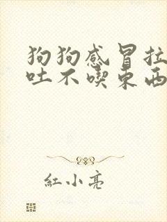 狗狗感冒拉稀呕吐不吃东西怎么办封面