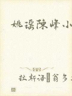 姚瑶陈峰小说封面