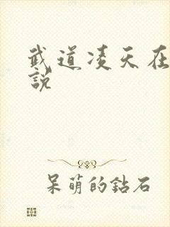 武道凌天在线小说