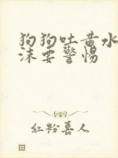 狗狗吐黄水带泡沫要警惕