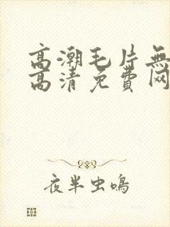 高潮毛片无遮挡高清免费网站封面