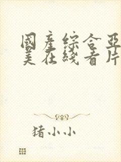 国产综合亚洲欧美在线看片