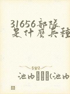 31656部队是什么兵种