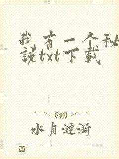 我有一个秘密小说txt下载