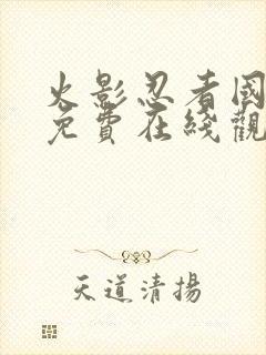 火影忍者国语版免费在线观看封面