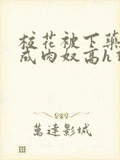 校花被下药调教成肉奴高h视频