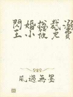 闪婚总裁溺宠妻王小筱免费阅读