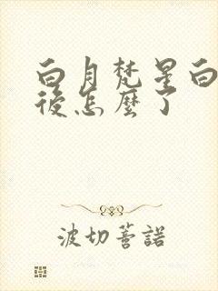 白月梵星白曦最后怎么了封面