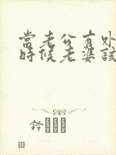 当老公有外遇的时候老婆该怎么办封面