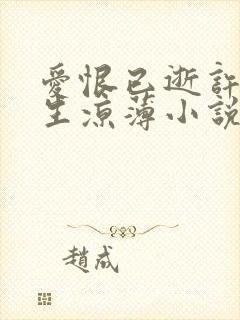 爱恨已逝许我半生凉薄小说