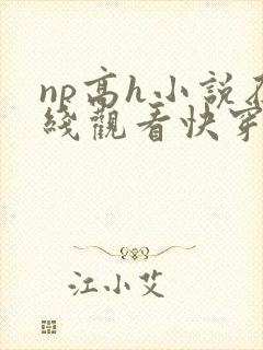 np高h小说在线观看快穿