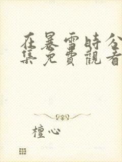 在暴雪时分30集免费观看