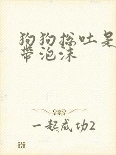 狗狗总吐是黄水带泡沫