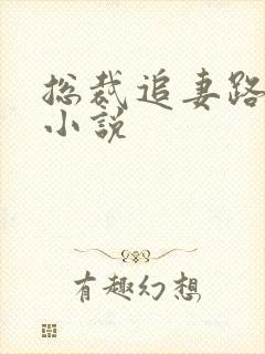 总裁追妻路漫漫小说