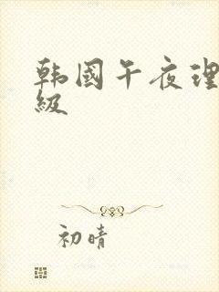 韩国午夜理伦三级