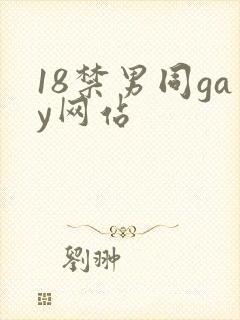 18禁男同gay网站封面