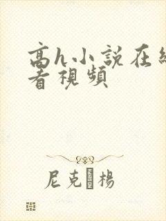 高h小说在线观看视频