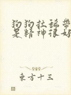 狗狗拉稀带血但是精神很好怎么办