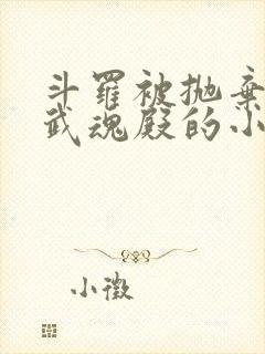 斗罗被抛弃加入武魂殿的小说