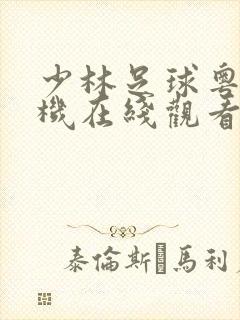 少林足球粤语手机在线观看