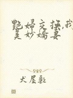 艳妇交换,我的美妙娇妻