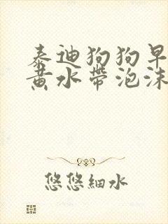 泰迪狗狗早上吐黄水带泡沫