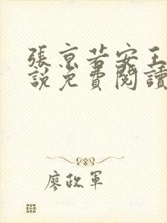 张京若安王妃小说免费阅读无弹窗