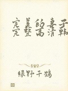 完美的妻子免费完整高清韩剧在线观看