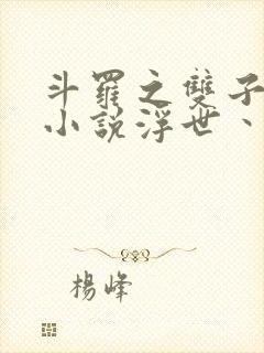 斗罗之双子斗罗小说浮世丶