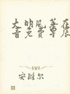 大明风华在线观看免费星辰影院