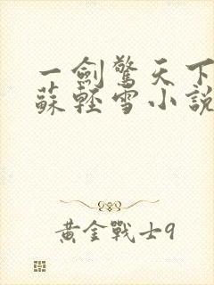 一剑惊天下林峰苏轻雪小说封面