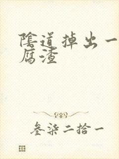 阴道掉出一块豆腐渣