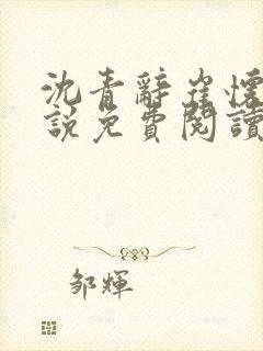 沈青辞崔怀瑾小说免费阅读最新章节