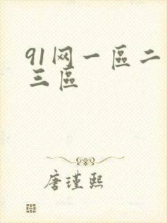 91网一区二区三区