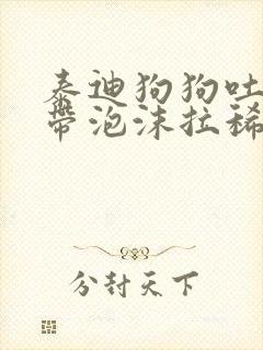 泰迪狗狗吐黄水带泡沫拉稀